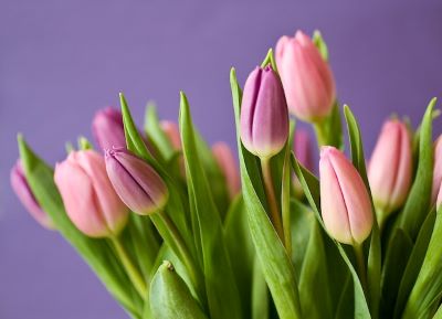 Tulpen Beschilderen met een Vork: Een Creatieve en Educatieve Knutselactiviteit